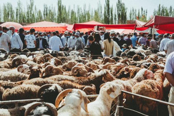 冬天新疆的美，被忽略了這麼多年