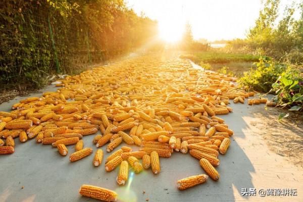 天氣預報:今天八月十五,晴天和陰雨天有啥預兆?看看老祖宗咋說 天氣預報:今天八月十五,晴天和陰雨天有啥預兆?看看老祖宗咋說