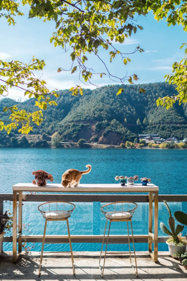 不知道去哪,就來雲南吧 不知道去哪,就來雲南吧