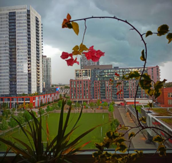 加拿大市中心爆槍擊！8人死傷，多名槍手狂射50發子彈，20人鬥毆，現場混亂