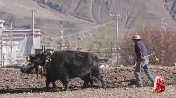 碧湖之下，魅力藏鄉
