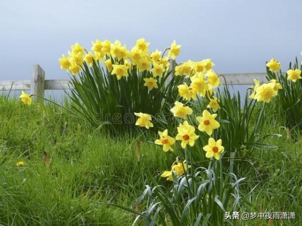 生命的奇蹟，白羊座