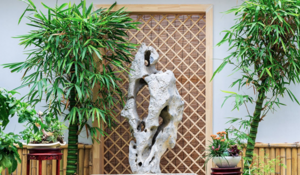 喜歡種植竹子,不用愁沒院子,將這3樣盆栽,輕鬆打造出雅緻盆景 喜歡種植竹子,不用愁沒院子,將這3樣盆栽,輕鬆打造出雅緻盆景