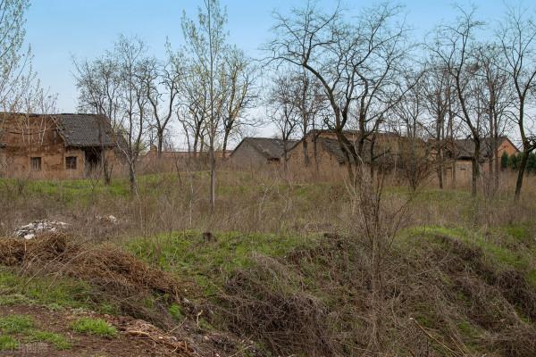 回憶六七十年代的農村 回憶六七十年代的農村