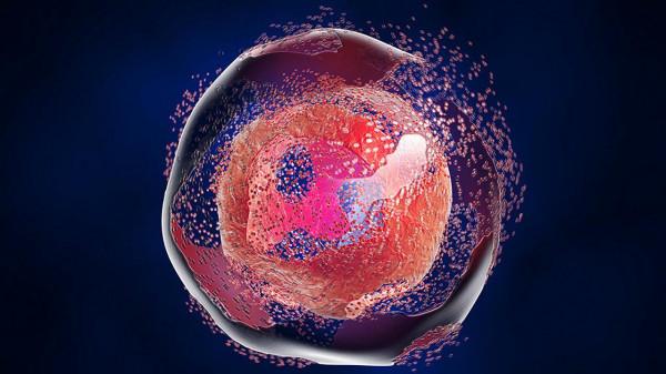 13歲少女喝下了百草枯後,她體內遭受的生化破壞機制會讓人絕望 13歲少女喝下了百草枯後,她體內遭受的生化破壞機制會讓人絕望