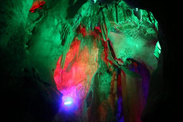 民俗文化綻風采，春節暢遊頌家鄉