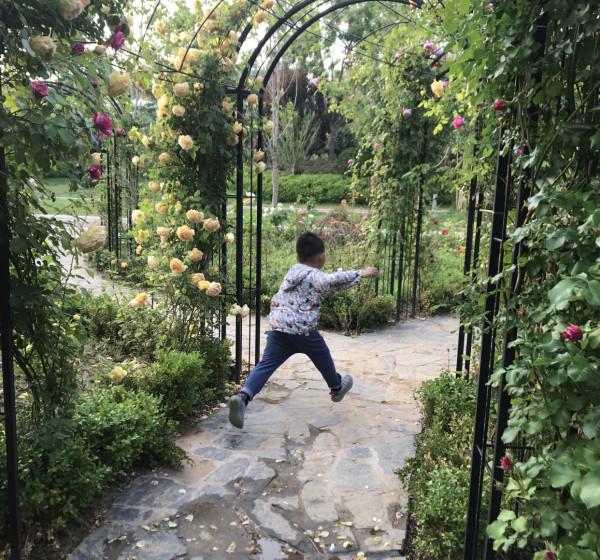 為什麼現在問題兒童那麼多？缺少接觸大自然的機會是原因