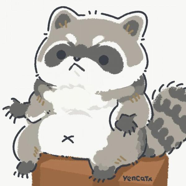 小浣熊超可愛，已經被萌哭了