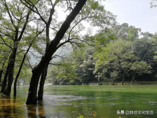 浮屋皆古翠，照門多晴川，林澤之間，來自小瀘沽湖下嚴村的呼喚