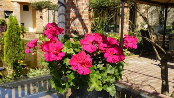 圖組丨踏著春光，迎接彌勒春暖花開