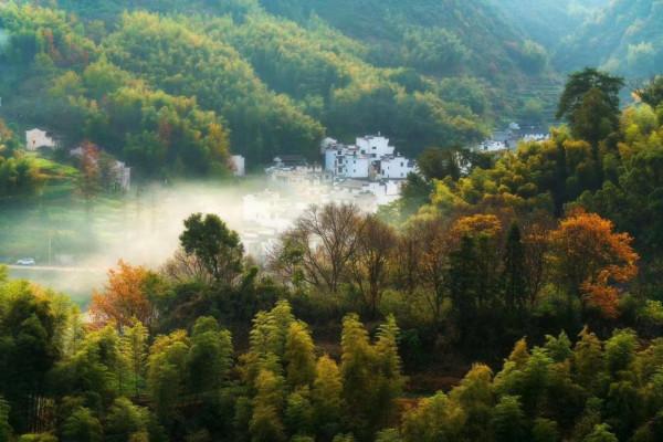 你要帶我去住蘑菇屋 你要帶我去住蘑菇屋