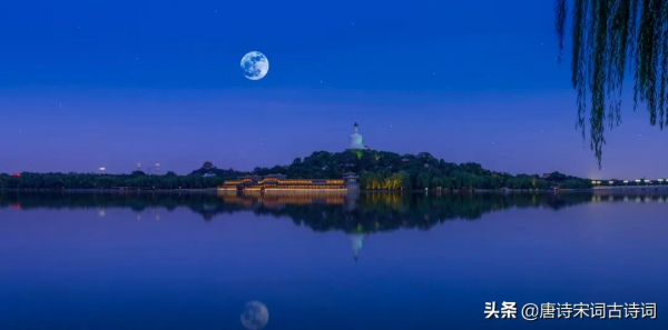 秋天,不容錯過的月光 秋天,不容錯過的月光