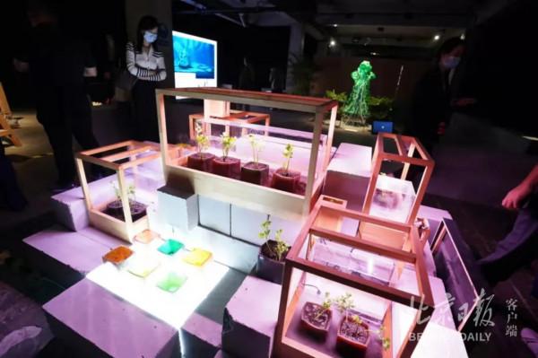 “十一”去哪兒玩?來朝陽,豐富多彩的文化活動嗨不停! “十一”去哪兒玩?來朝陽,豐富多彩的文化活動嗨不停!