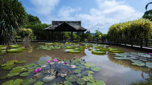 冬天避寒哪裡好?國內這兩個地方不錯,大家公認的過冬好去處 冬天避寒哪裡好?國內這兩個地方不錯,大家公認的過冬好去處