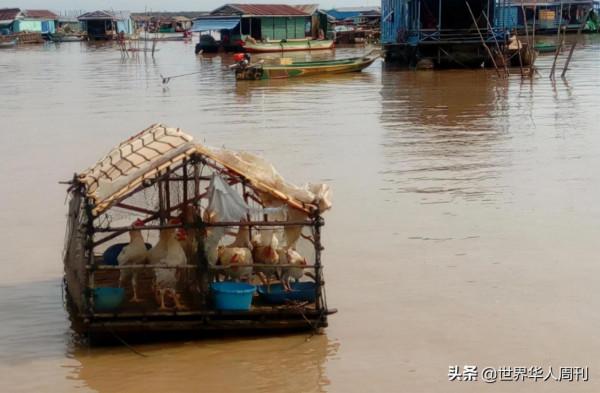 70萬人“飄浮”在東南亞最大淡水湖上，無身份無國籍無人問津