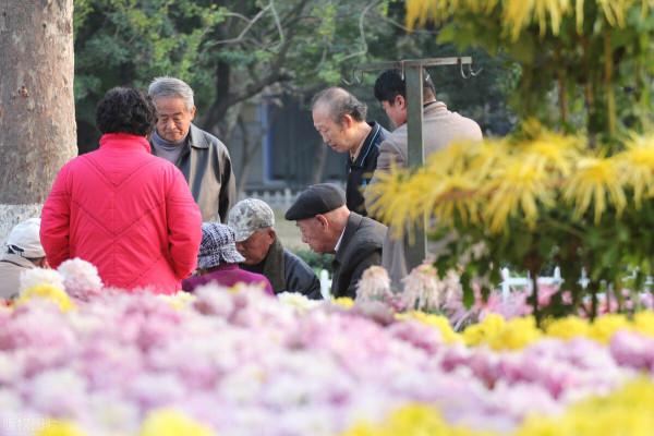 “未富先老”如何破?開放農村土地市場 “未富先老”如何破?開放農村土地市場