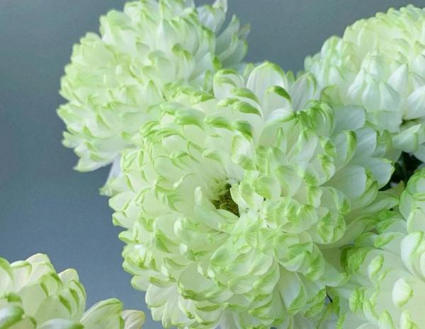 《道德經》層次越高的人，越敬畏因果，敬畏自然，也越遵道而行