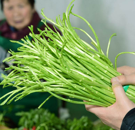 藜蒿：曾是農村的&OpenCurlyDoubleQuote;餵豬草&rdquo;，如今1&ZeroWidthSpace;斤&ZeroWidthSpace;30元，春節後最鮮嫩