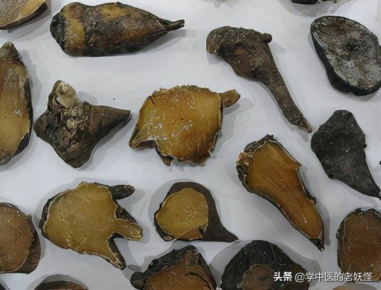 每日一中藥——附子