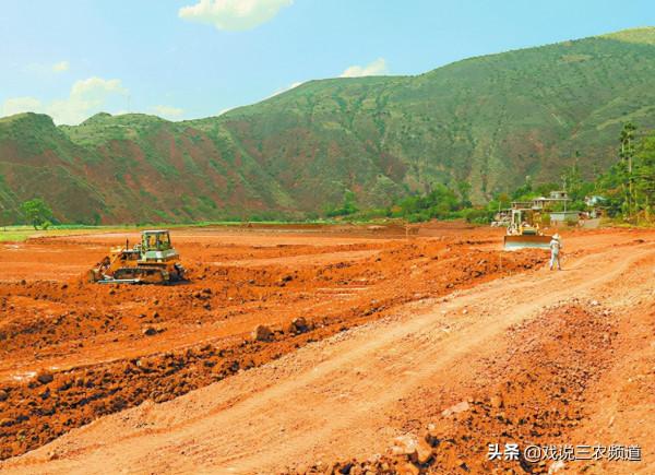 “2拆4禁”落地！農村土地或迎又一輪嚴查！查到就罰！絕不姑息