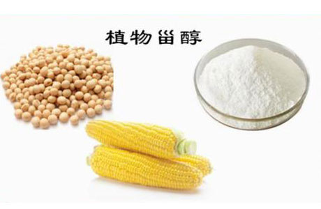 全穀食物巧搭配!日常飲食怎麼搭配營養又美味? 全穀食物巧搭配!日常飲食怎麼搭配營養又美味?