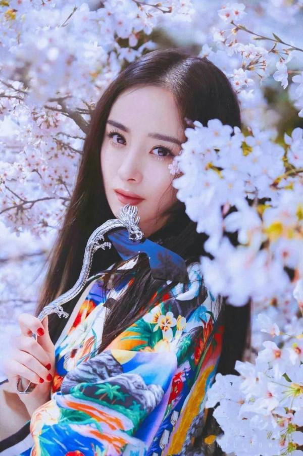 楊冪一波美照來襲