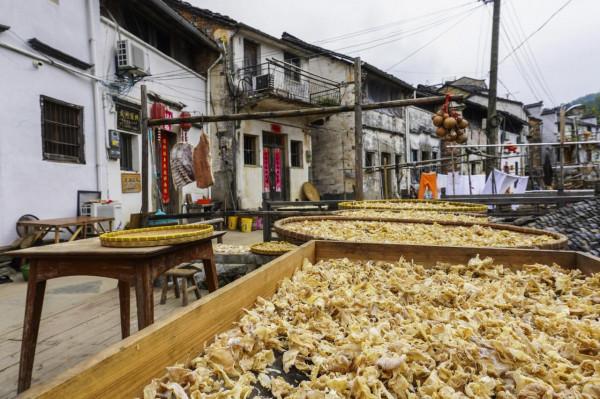 俗話說“造屋不造山脊首”,這座村莊為何偏建在險峻的山脊上? 俗話說“造屋不造山脊首”,這座村莊為何偏建在險峻的山脊上?