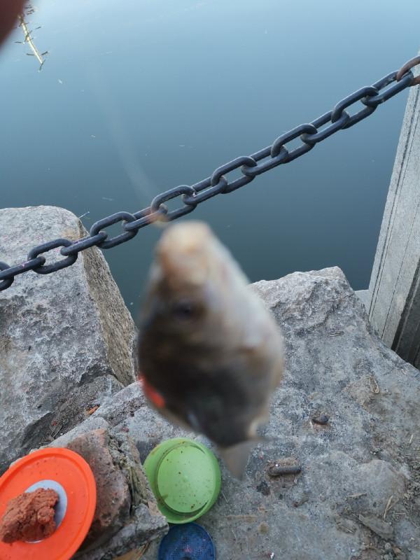 靈活多變才是漁獲的關鍵，大師的制勝法寶得好好學