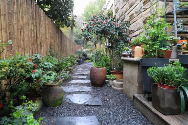 養花人都該學會的4項技能,養花方便還能省錢,輕鬆提升養花經驗 養花人都該學會的4項技能,養花方便還能省錢,輕鬆提升養花經驗