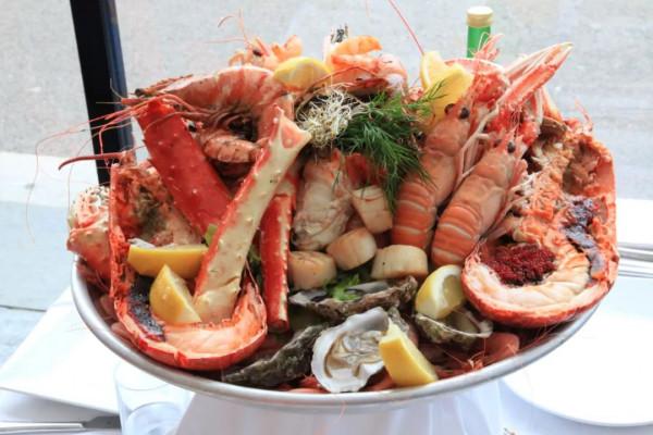 10年深度+豪華遊玩60國