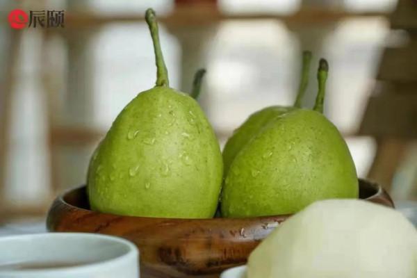 什麼是健康狀態？那什麼是亞健康狀態呢？