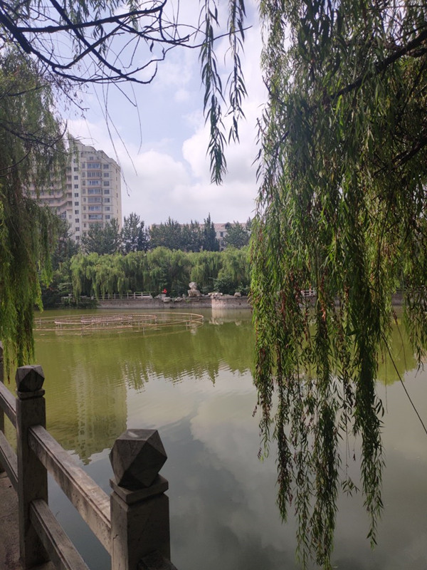 雨過天晴 公園一日遊
