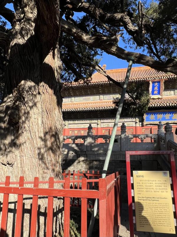 新年到孔廟國子監參觀，督促孩子好好學習