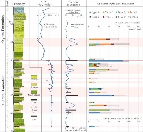 鑽進地下，深“扒”野火和生物滅絕間千絲萬縷的關係