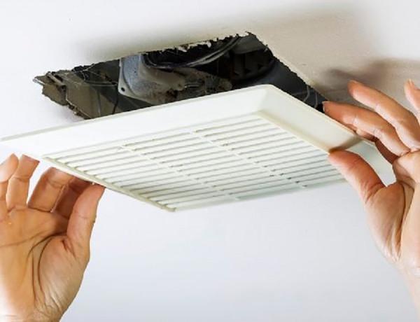 除溼滅黴菌，還你舒適家居！日本主婦這樣運用木炭、小蘇打，實用