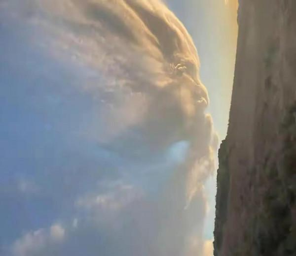 34張活久未見的照片，翠鳥在冰下潛水捕食，凍死還保持著潛水姿勢