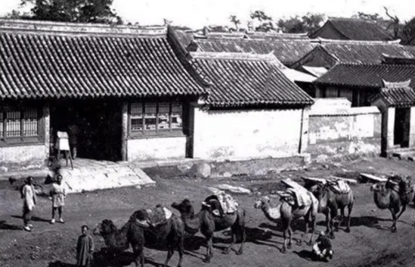 23歲小夥繼承姨媽英國房產，內藏六萬件中國文物，後全部捐國家