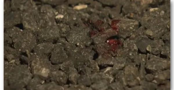 日本19歲少女“為逃命”殺死家暴男？真相反轉，她才是那個魔鬼