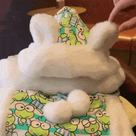 把貓P成玲娜貝兒，有億點點醜…（內附醜圖）