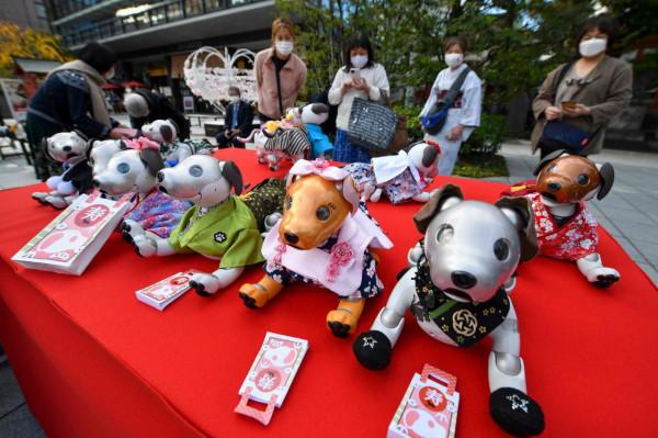 為機器狗“慶生” 為機器狗“慶生”