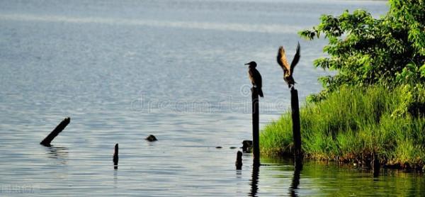 救贖自己，生活必然繁花似錦