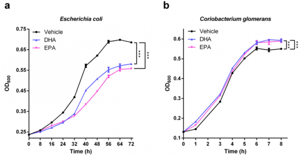 EPA和DHA或可防治2型糖尿病!浙大團隊發現,EPA和DHA調節腸道微生物的組成和微代謝,改善高血糖和胰島素抵抗丨科學大發現 EPA和DHA或可防治2型糖尿病!浙大團隊發現,EPA和DHA調節腸道微生物的組成和微代謝,改善高血糖和胰島素抵抗丨科學大發現