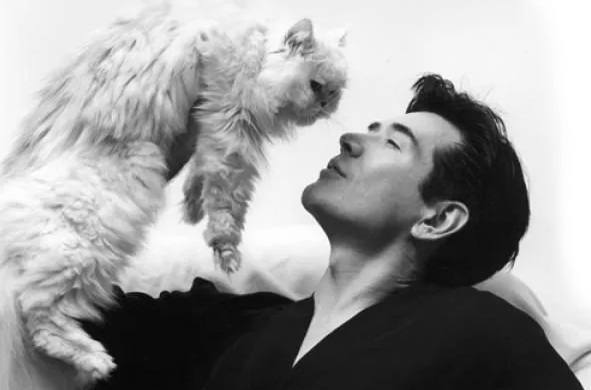 貓：“你們饞了半輩子的男人，被我吸了！”