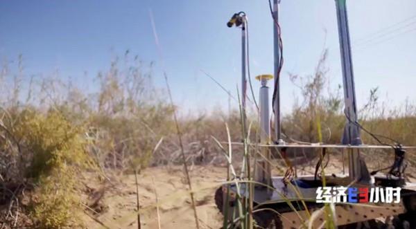 沙漠“長”綠洲！4000畝沙漠上，高粱、西瓜、番茄產量驚人