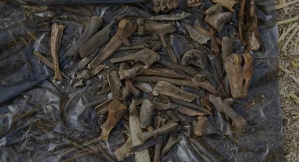 2021年的世界考古圈出了什麼大事件？