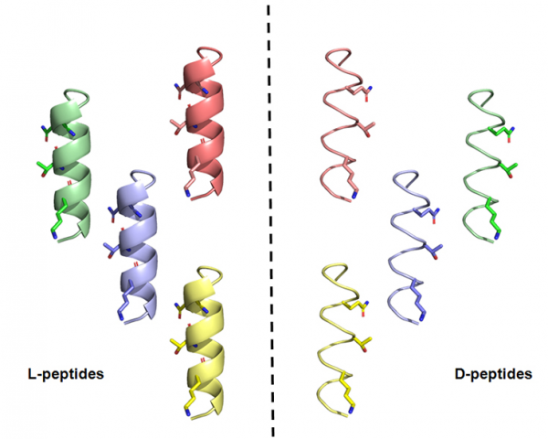 對抗病毒又出新辦法，多大教授研製出可中和病毒的科技