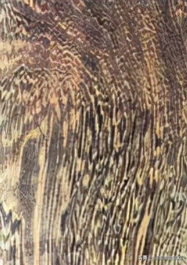 如何辨識明代傢俱木材新解全集(傢俱14) 如何辨識明代傢俱木材新解全集(傢俱14)