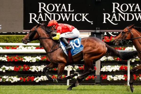 本週六，玉龍馬業再戰“巔峰賽”，1萬人現場見證冠軍誕生