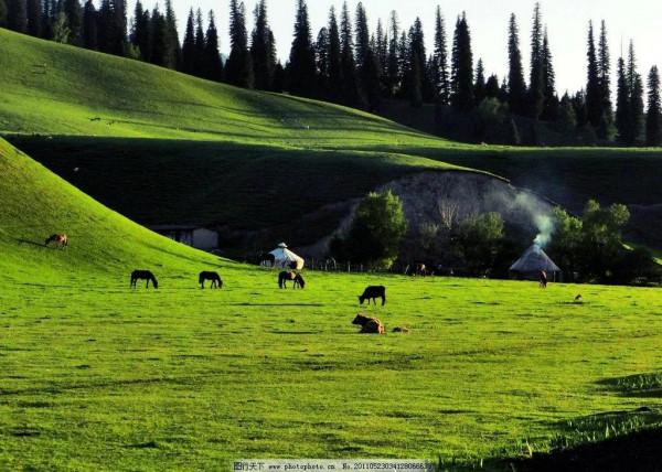新疆那拉提草原風光 新疆那拉提草原風光