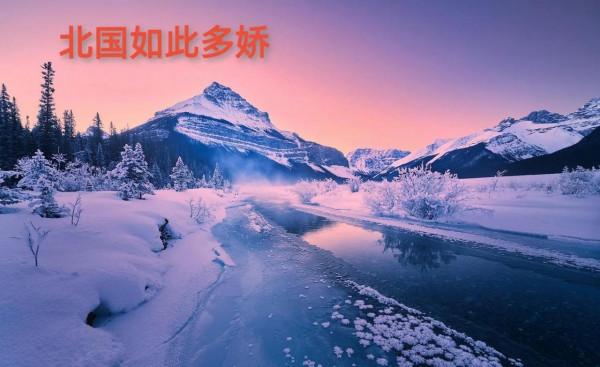 司馬南出生於東北，東北的雪景實在是美